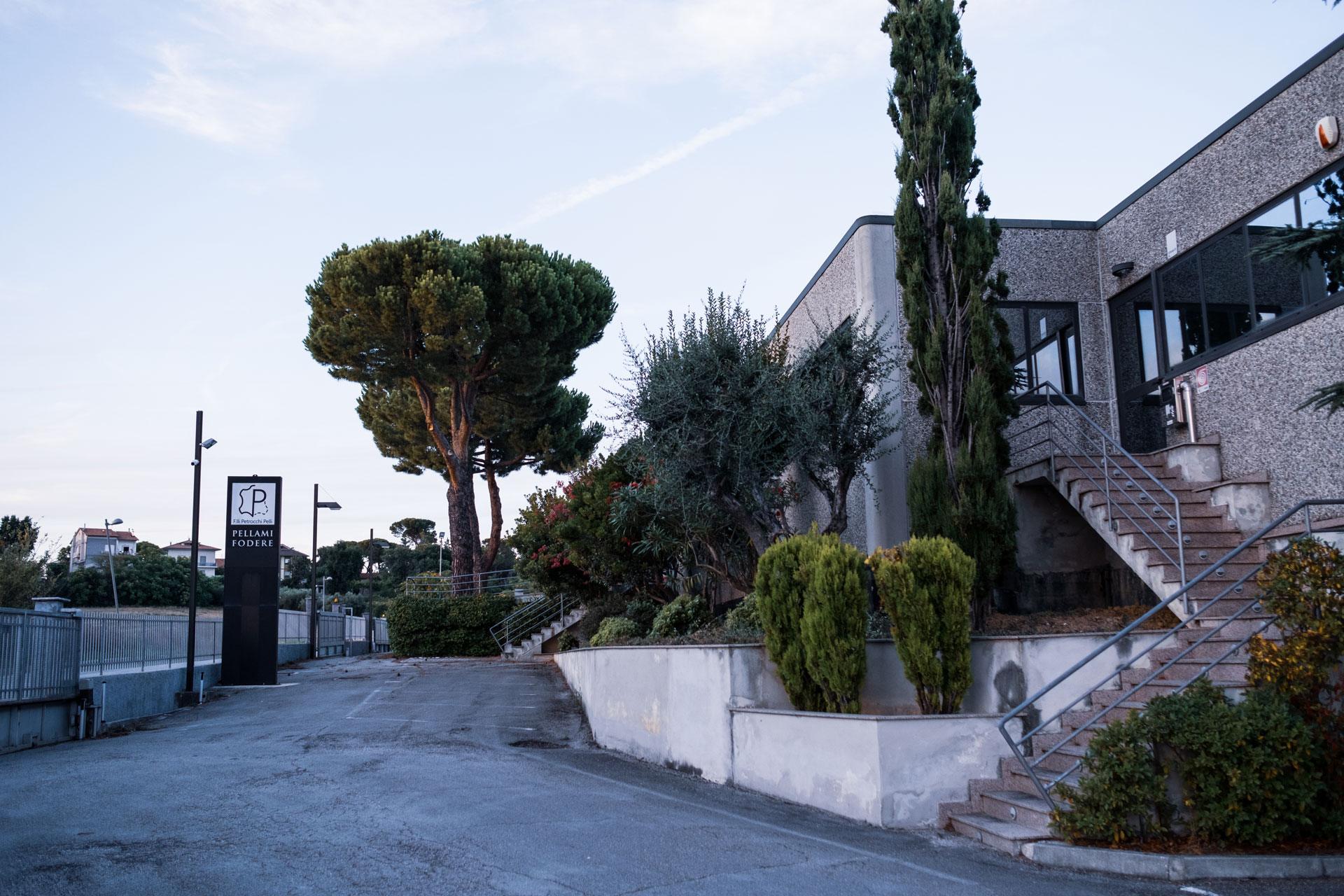 Pellami nelle Marche